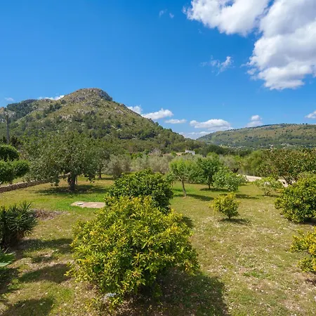 Cycling Appartement Alcúdia